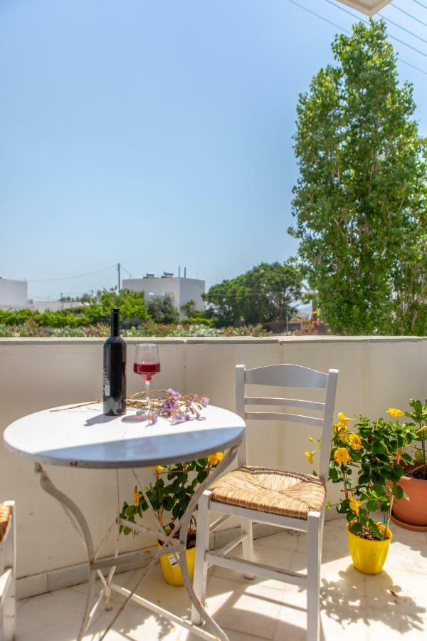 Apanemi Beachhouse Naxos City Bagian luar foto